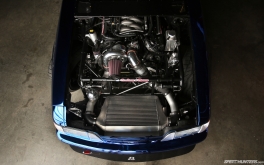 Mustang de premier ordre – Photo de Larry Chen