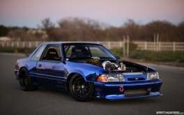 Mustang de premier ordre – Photo de Larry Chen