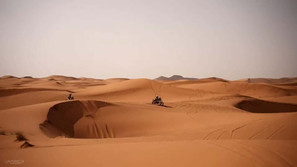 Vous pouvez regarder l’Africa Eco Race 2024 en direct dès maintenant