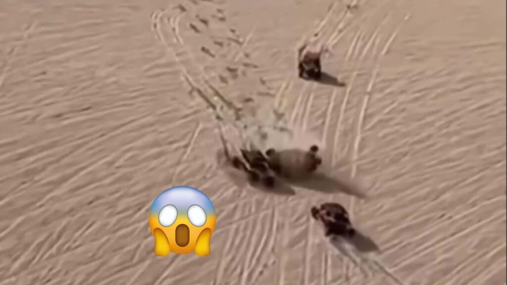 Regardez un UTV sauver un autre UTV d'un retournement effrayant dans les dunes