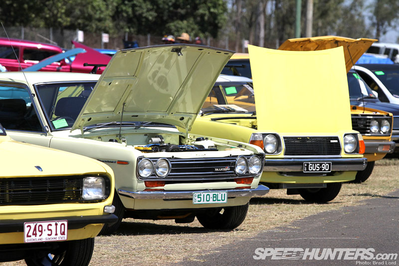 SPORT-COMPACT-6079