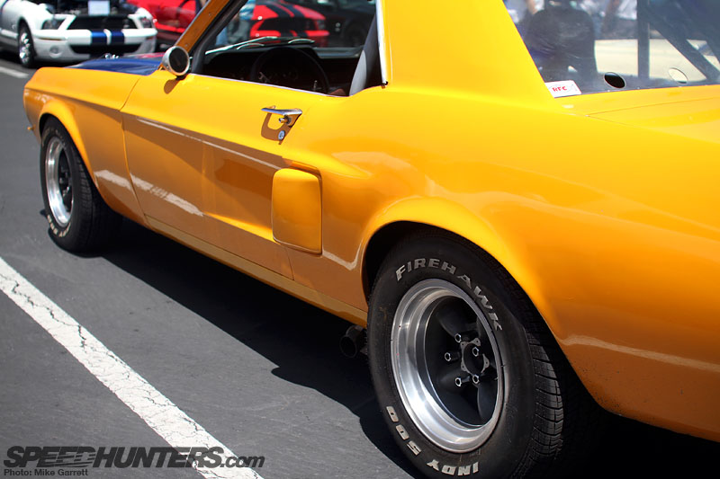 mustang5