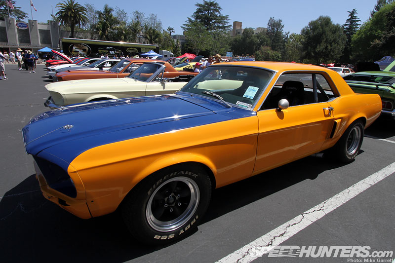 mustang3