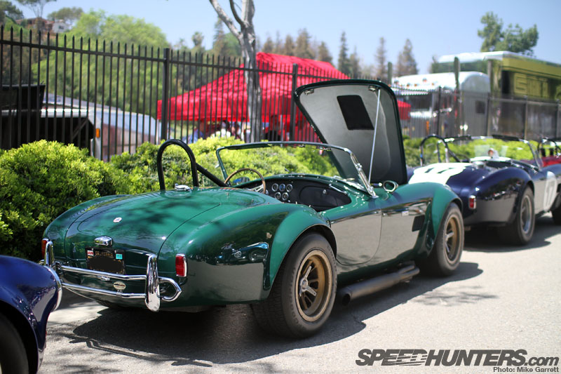 cobra5