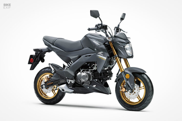 Kawasaki Z125 Pro 2024