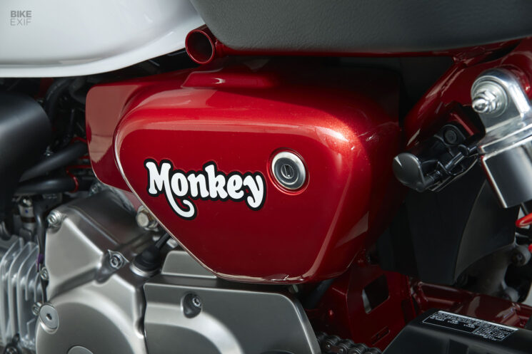 Honda Monkey 2024