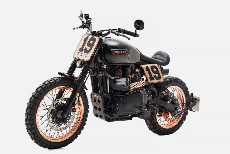 Triumph Thruxton Scrambler par Tamarit Motorcycles