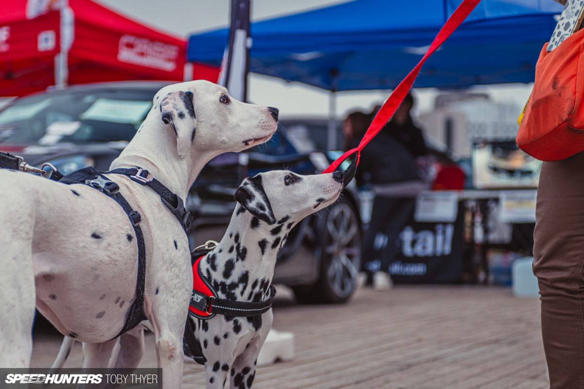 Toby_Thyer_Photographe-77