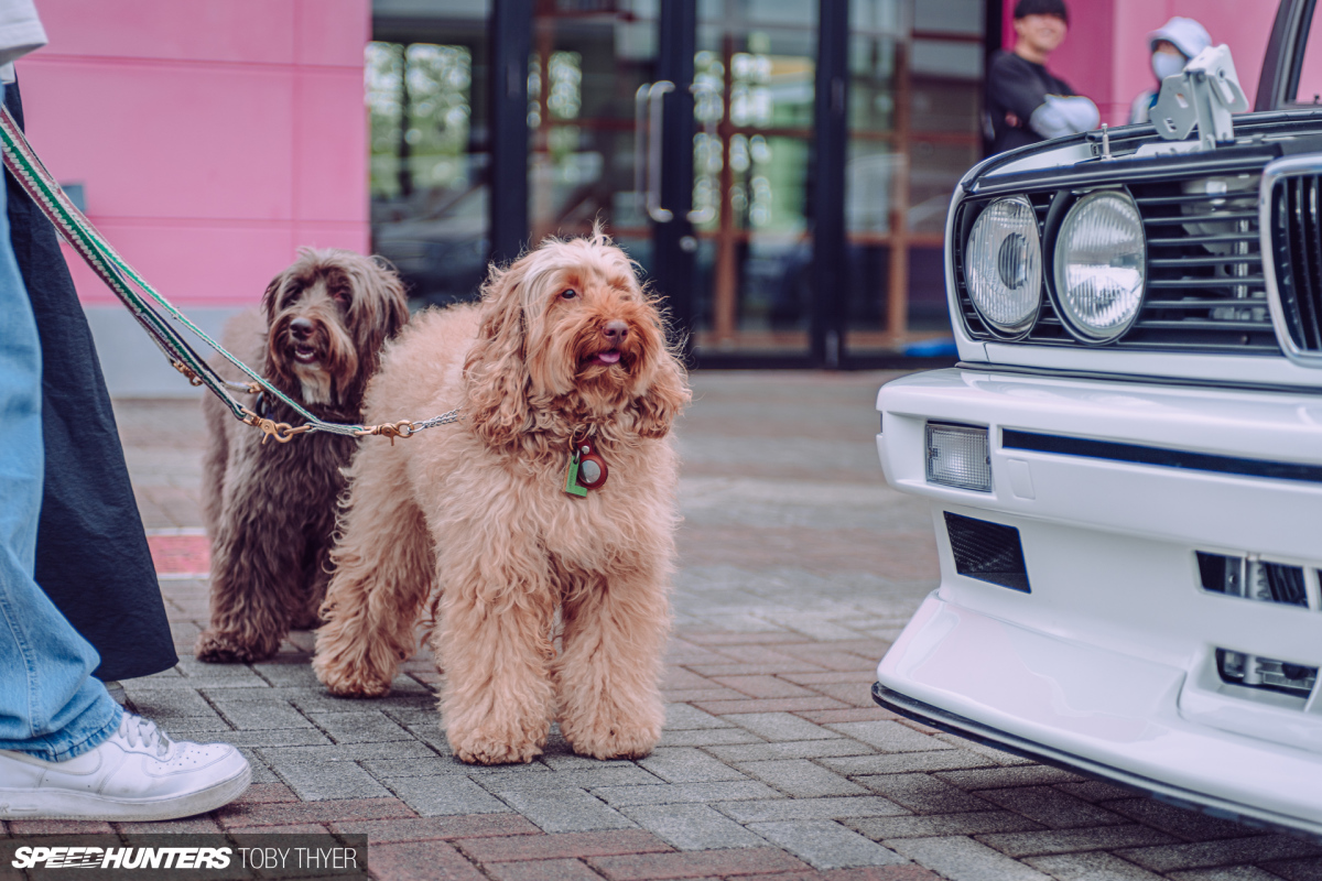 Toby_Thyer_Photographe-65