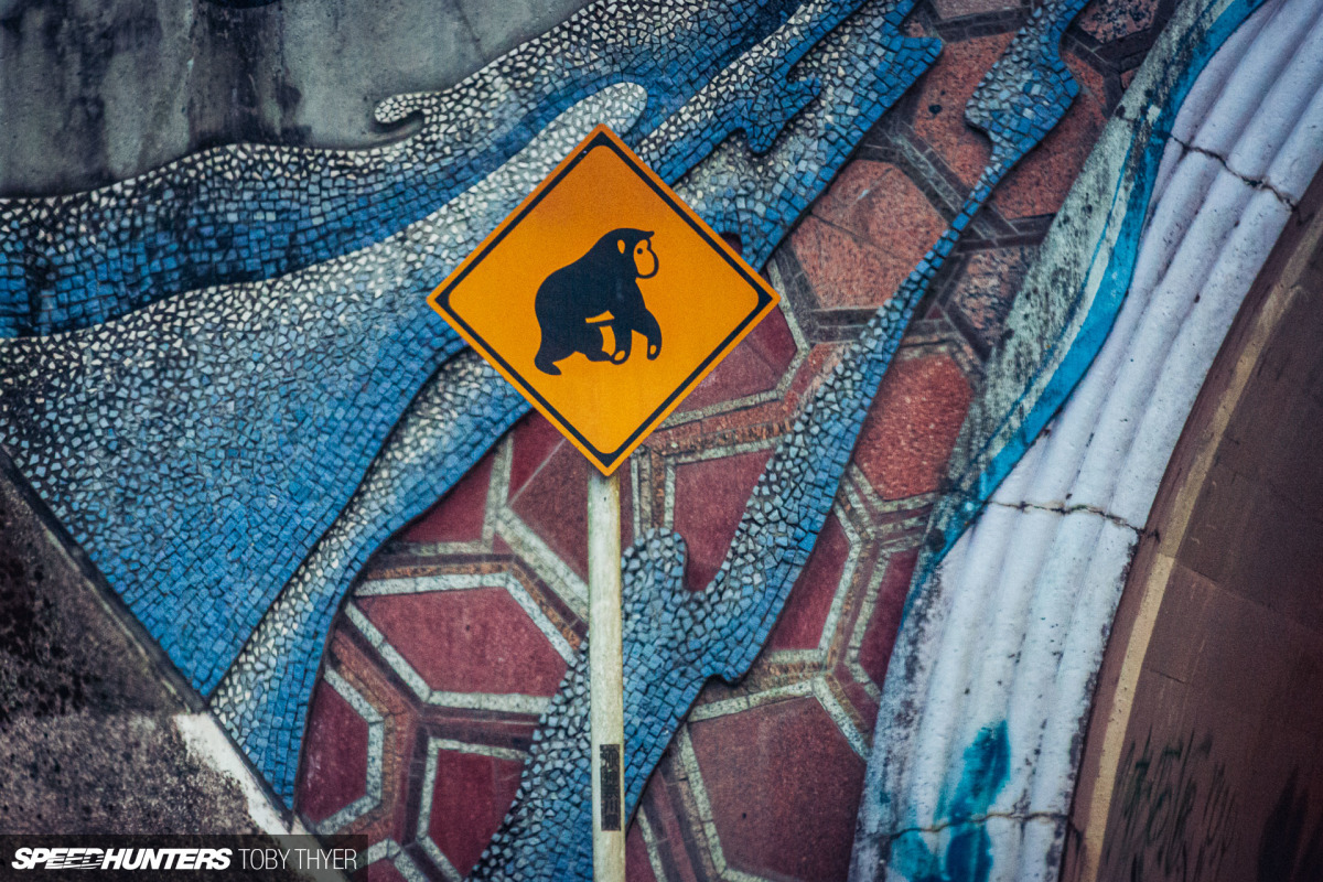 Toby_Thyer_Photographe_-25
