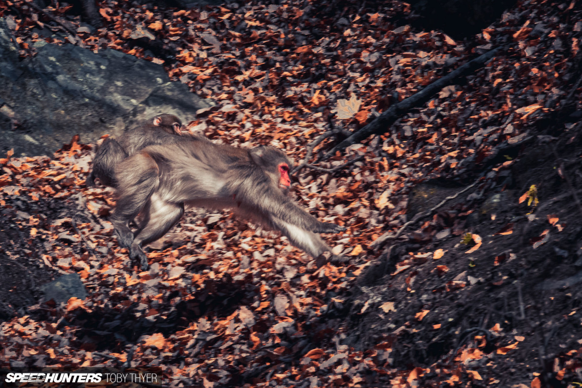 Toby_Thyer_Photographe_-30