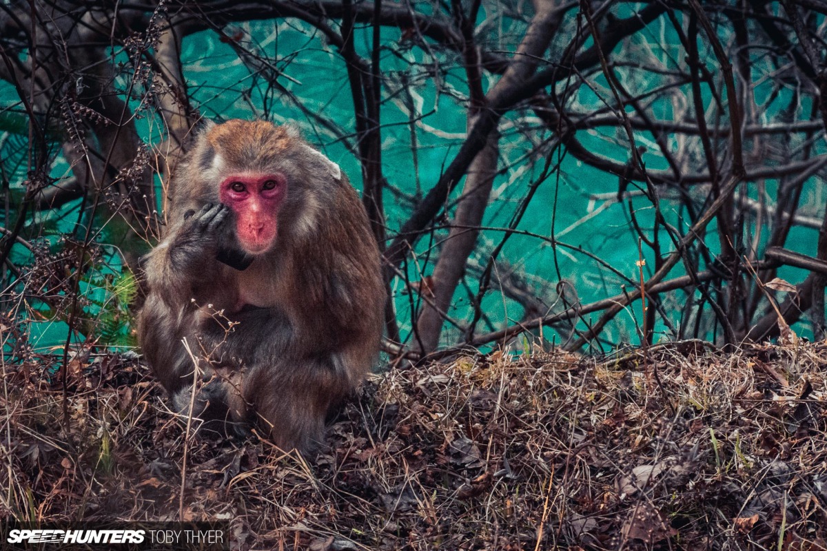 Toby_Thyer_Photographe_-35