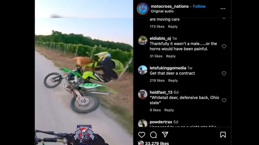 Regardez un motard se faire écraser par un cerf sauteur