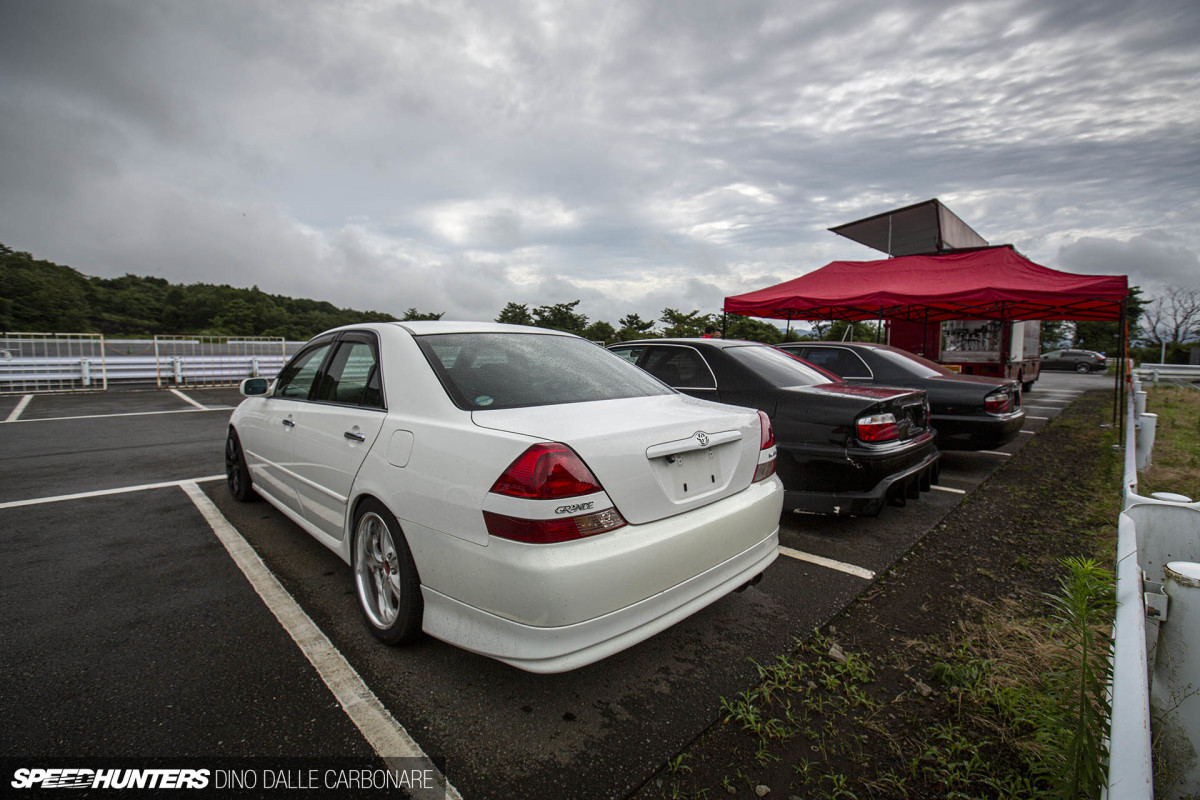tomocheka_dino_dalle_carbonare_06