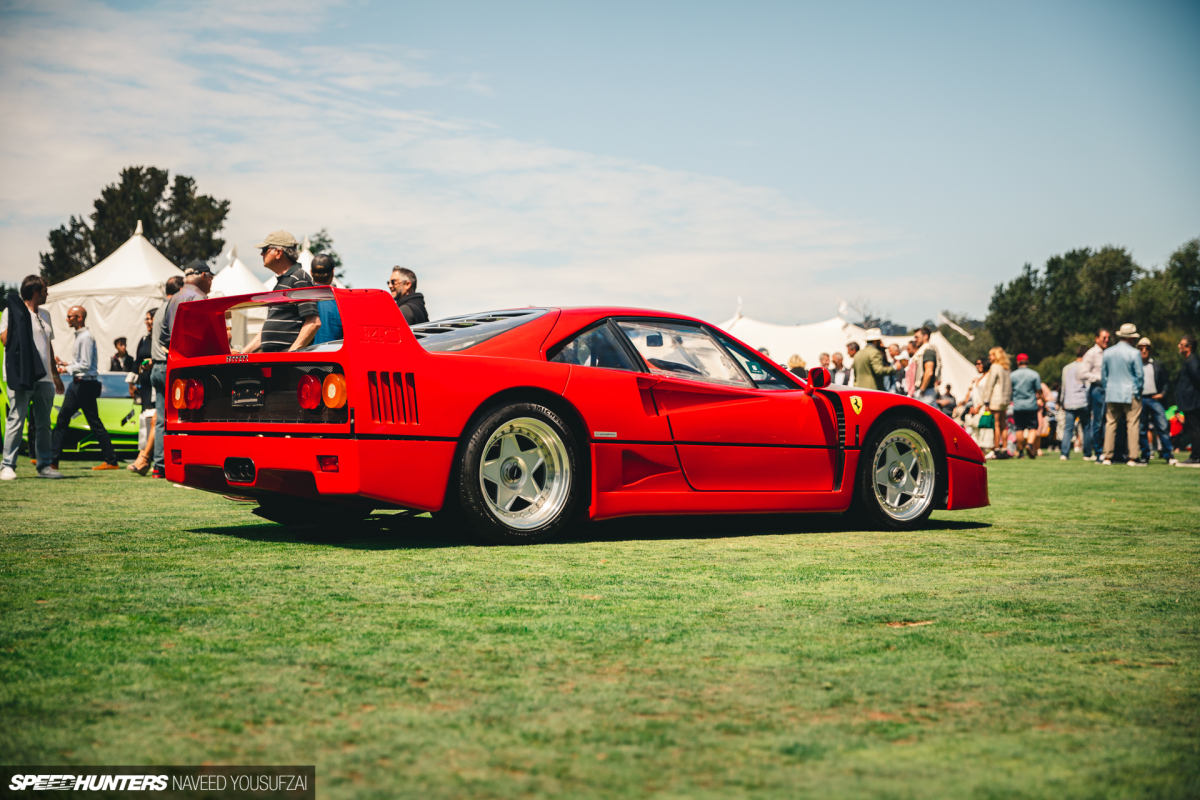 IMG_1093Copyrighted-By-Naveed-Yousufzai