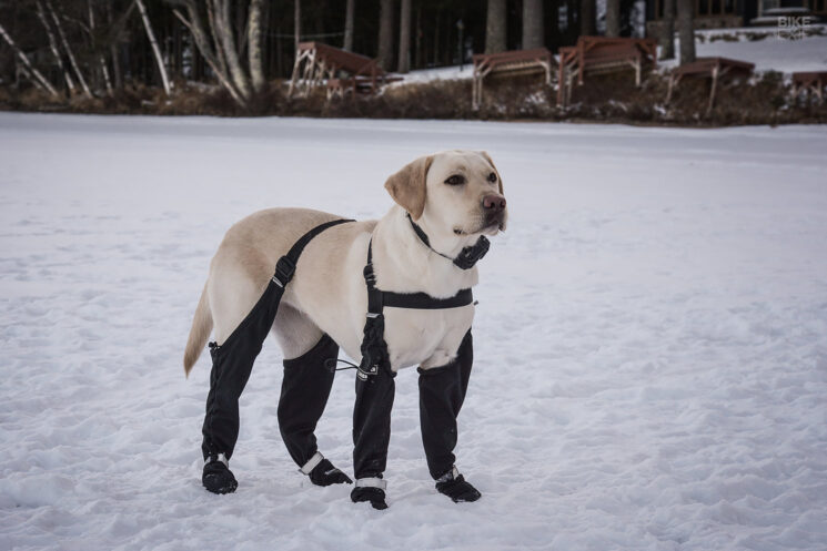 Pneus de vélo à pit à clous pour la glace d'hiver