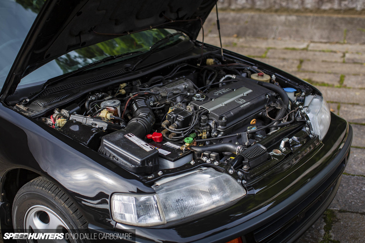 CRX_SIR_DINO_DALLE_CARBONARE_07