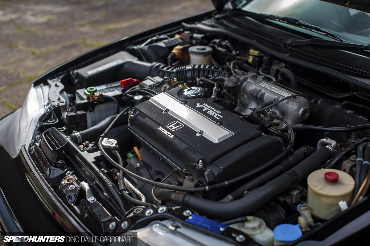 CRX_SIR_DINO_DALLE_CARBONARE_11
