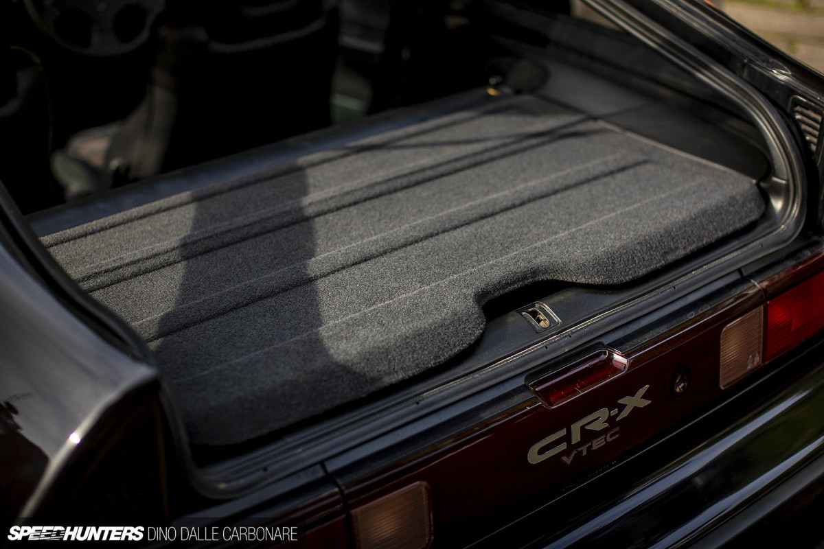 CRX_SIR_DINO_DALLE_CARBONARE_35