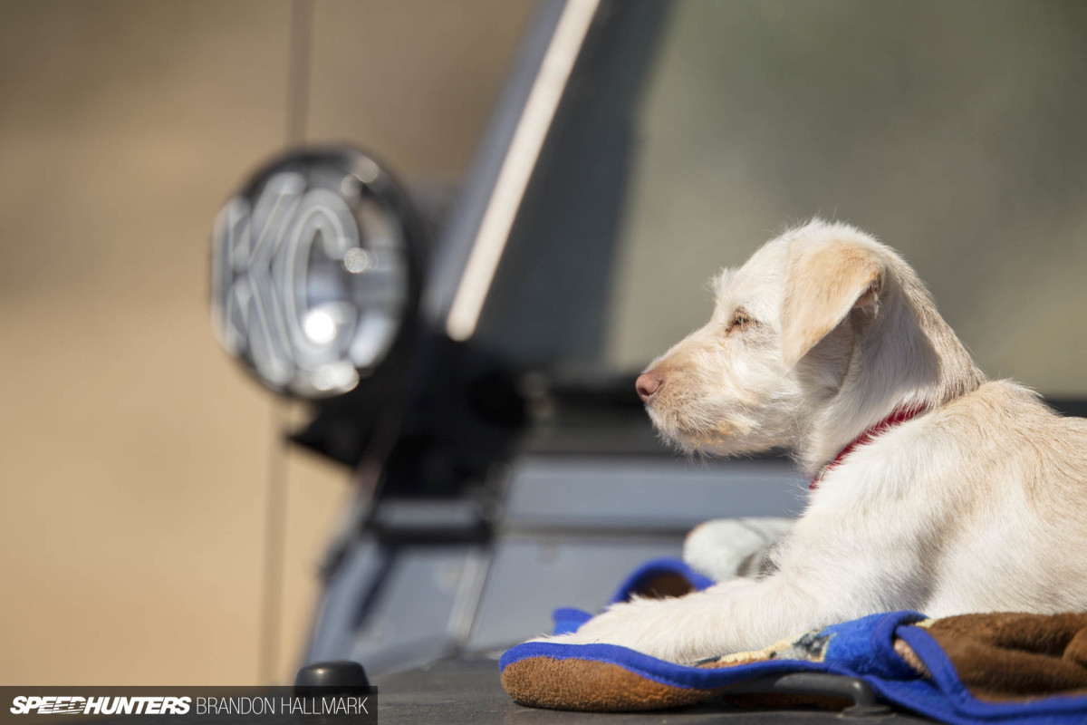 2018 IamTheSpeedHunter Super D par Brandon Hallmark-11