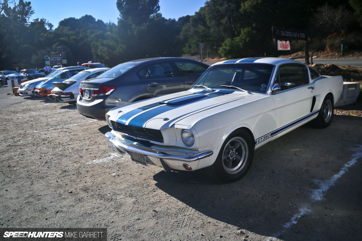 Copie de monterey-sightings-25