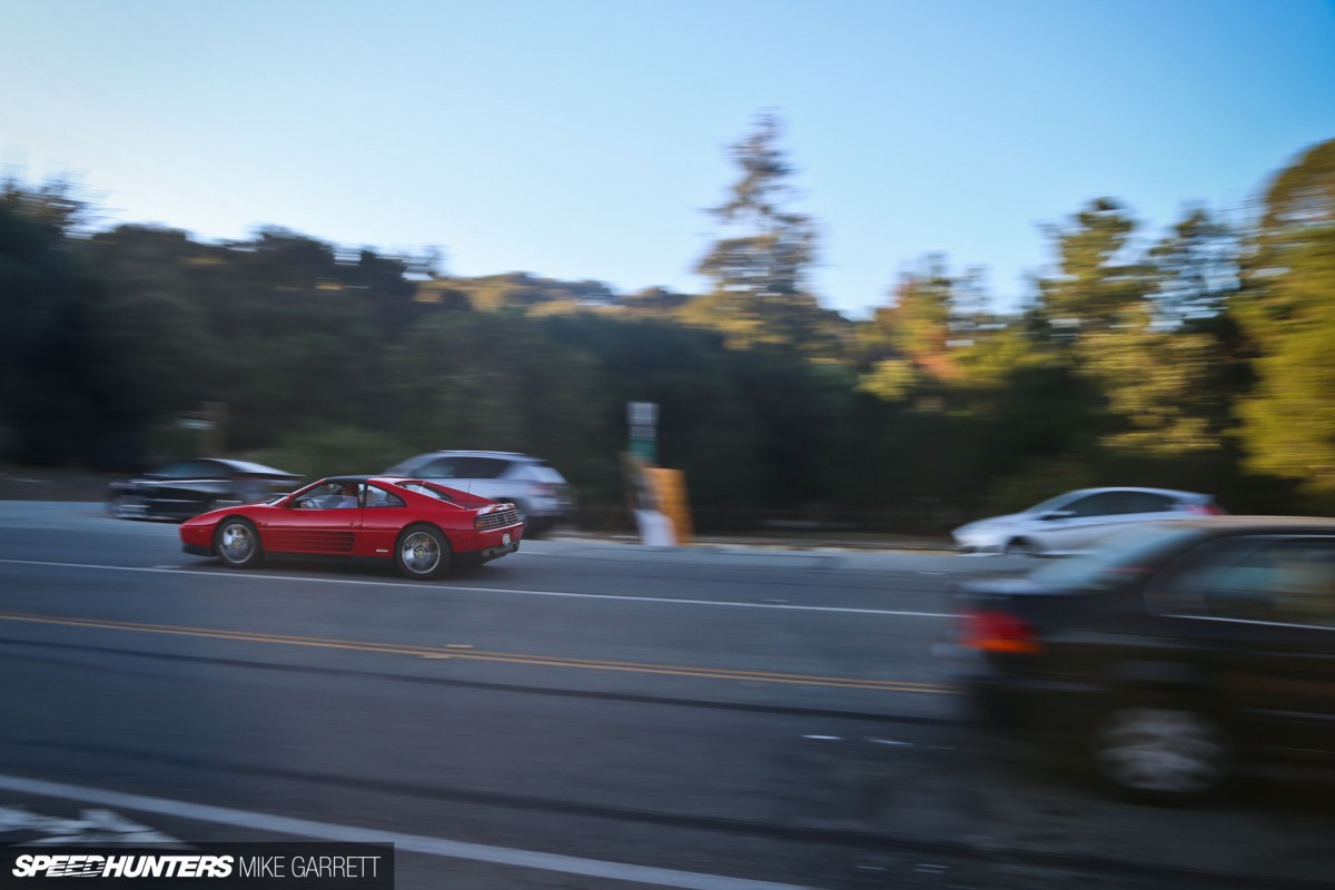 Copie de monterey-sightings-36