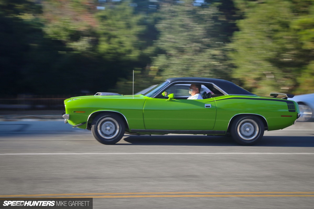 Copie de monterey-sightings-30