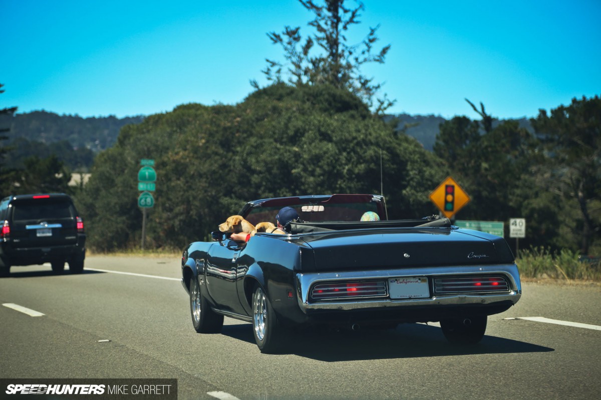 Copie de monterey-sightings-3-2