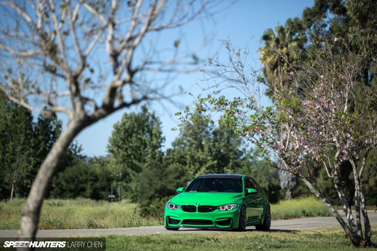Larry_chen_peedhunters_green_f80_m3-29