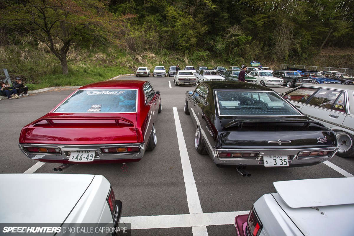 Shakotan-Laurel-06
