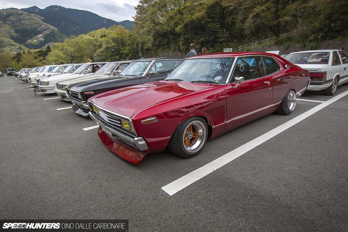 Shakotan-Laurel-03