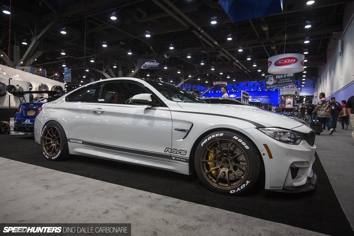 SEMA-ITM-DINO-08