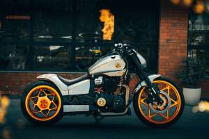 Natraj 650 5