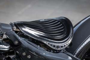 Rough Crafts Lame Aeternum Harley Davidson Street Bob 24