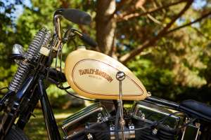 Hachoirs en cuivre Panhead 14