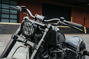 Rough Craft 2023 Harley Davidson Street Bob 15