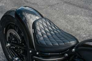 Rough Craft 2023 Harley Davidson Street Bob 16