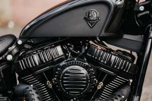 Rough Craft 2023 Harley Davidson Street Bob 10