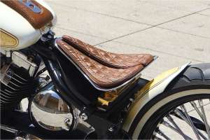 Lord Drake personnalisé Harley Davidson Softail 11