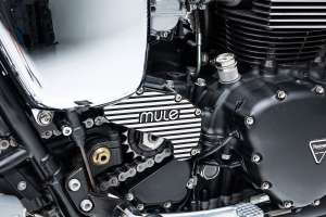Mule triomphe jma 28