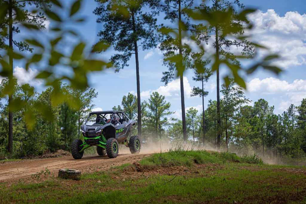 Kawasaki Teryx Limited eS 2017