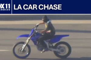 C&rsquo;est la poursuite policière à moto la plus chaotique que nous ayons jamais vue